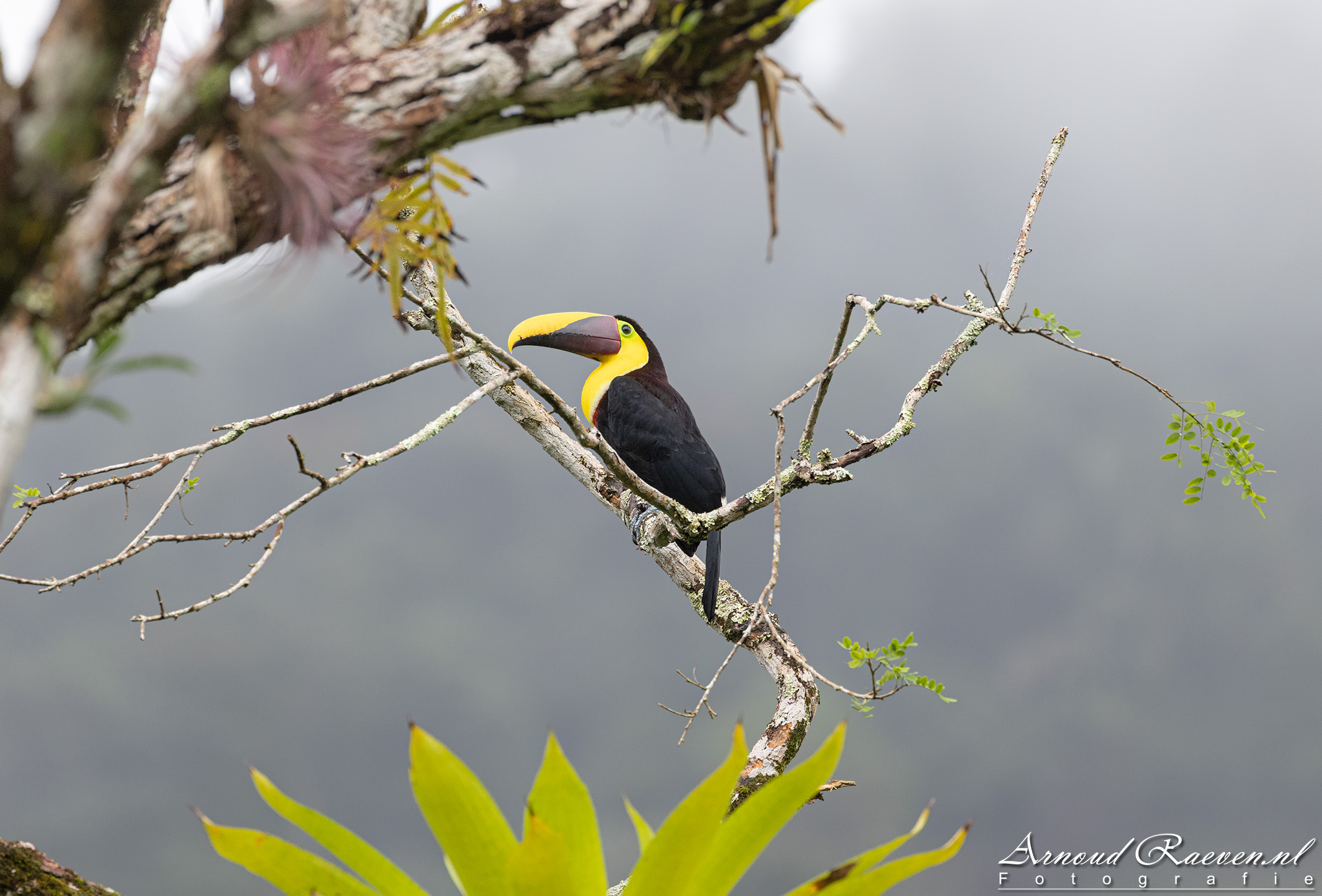 Costa Rica – November 2022