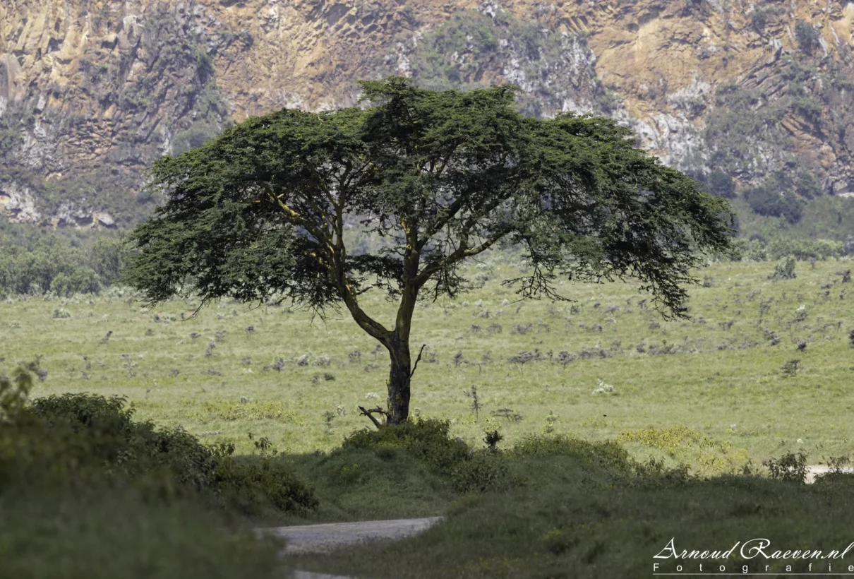 Kenia – Mei 2026